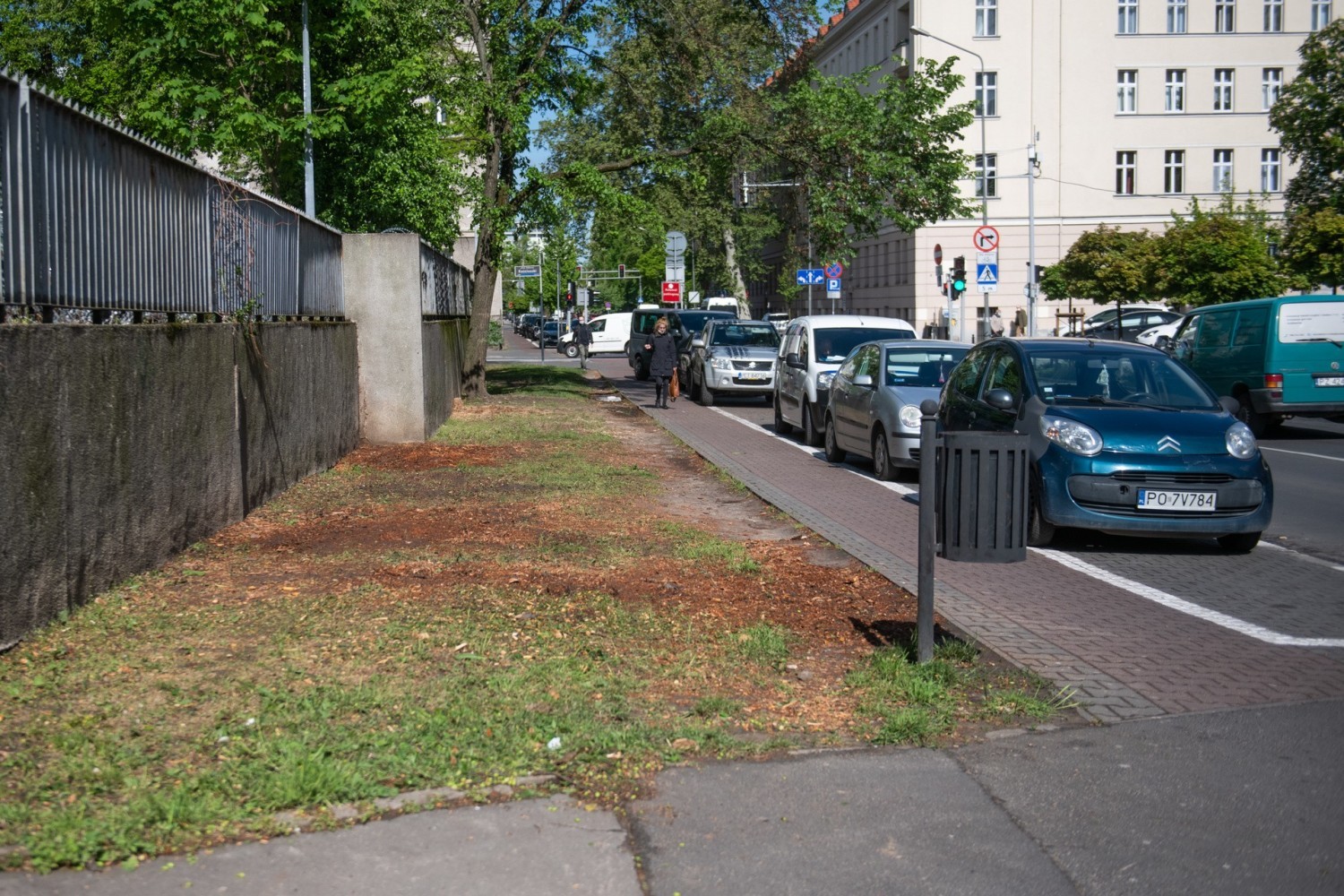 Wzdłuż ulicy Libelta i Kościuszki wycięto 25 drzew