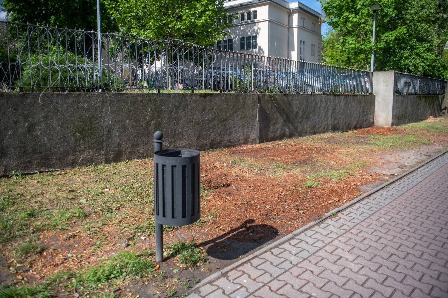 Wzdłuż ulicy Libelta i Kościuszki wycięto 25 drzew