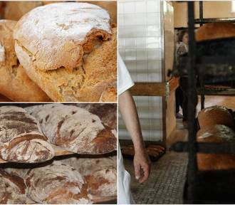 Chleb z tych piekarni w Tarnowie najczęściej polecają klienci TOP 9