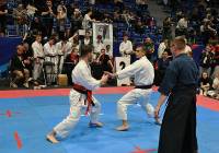 Zielonogórscy karatecy zdobywali medale w międzynarodowym towarzystwie