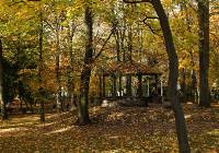 Jesienna aura zawitała do Olkusza. Betonowy krajobraz miasta dekorują kolorowe liście