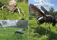 Gigantyczne owady i pajęczaki niespełna godzinę drogi od Tarnowa