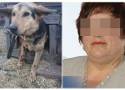 Nie do pomyślenia! Sołtyska jednej wsi na Dolnym Śląsku znęcała się nad psem. Sąd zmienił karę dla kobiety