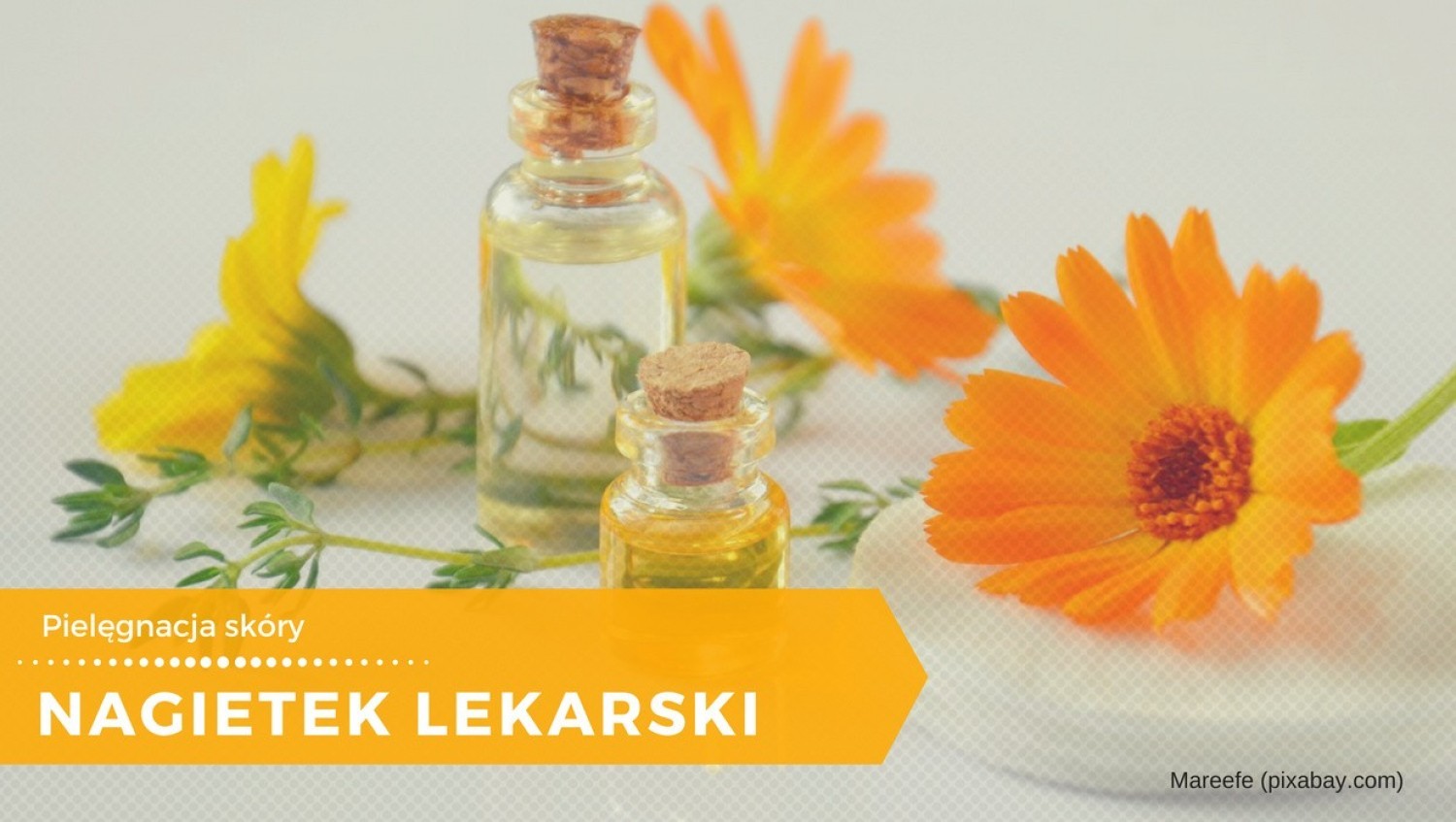 Nagietek lekarski