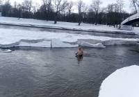Król sieradzkich morsów Jacek Mikołajczyk sprawdzał rzekę Wartę. Jest lodowiec! FOTO