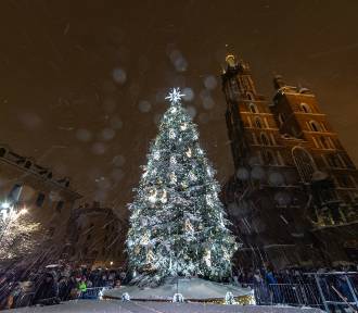 Energooszczędna ozdoba świątecznego miasta. Rozbłysła choinka na krakowskim Rynku