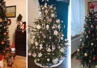 Najpiękniejsze choinki w Gliwicach! Odkryj świąteczne cuda w domach czytelników