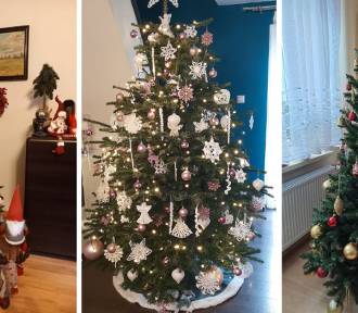Najpiękniejsze choinki w Gliwicach! Odkryj świąteczne cuda w domach czytelników