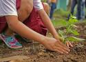 „Jedno dziecko – jedno drzewo” - rusza piękna akcja proekologiczna w Zbąszyniu! 