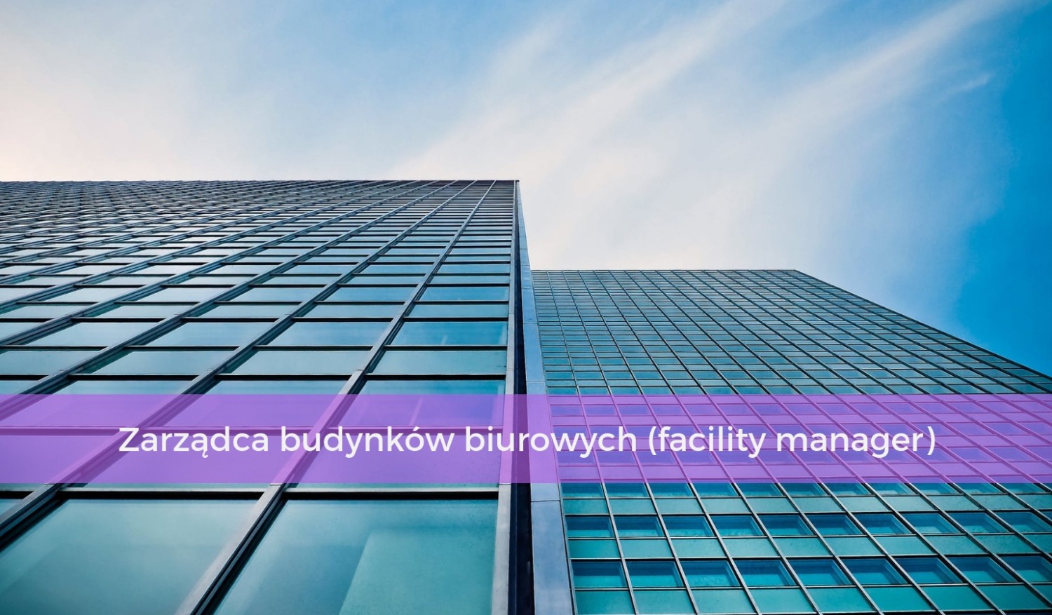 9. Zarządca budynków biurowych (facility manager)