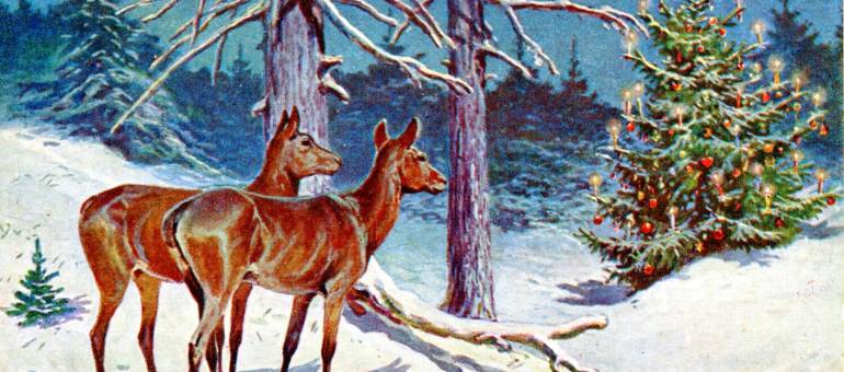 Zdjęcie artykułu z dnia 18-12-2025