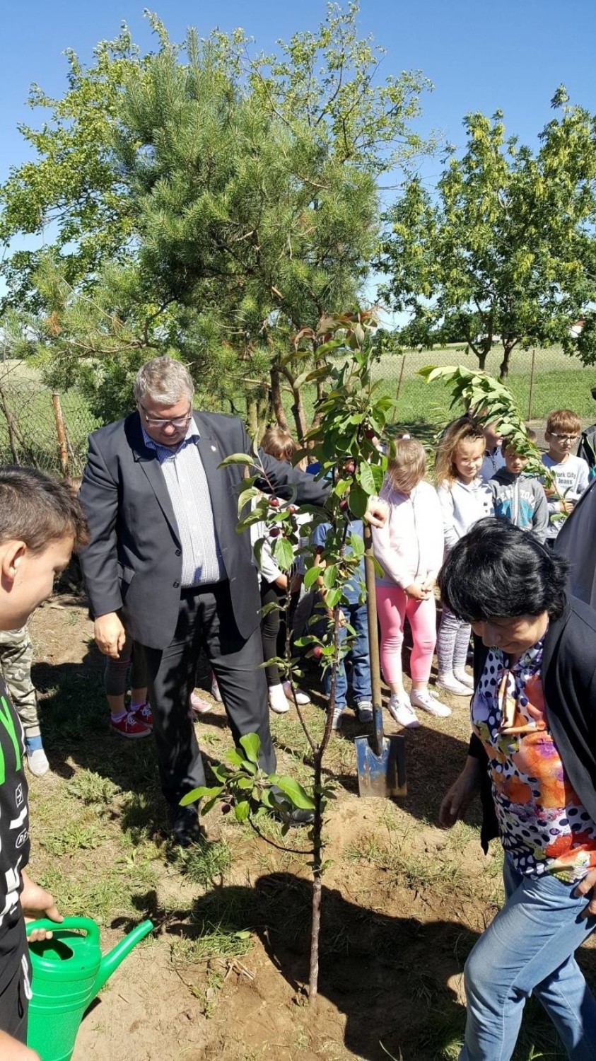 - W bieżącym roku Samorząd Województwa Wielkopolskiego przeznaczy na wsparcie sektora pszczelarskiego 3,1 mln zł - mówi wicemarszałek Krzysztof Grabowski