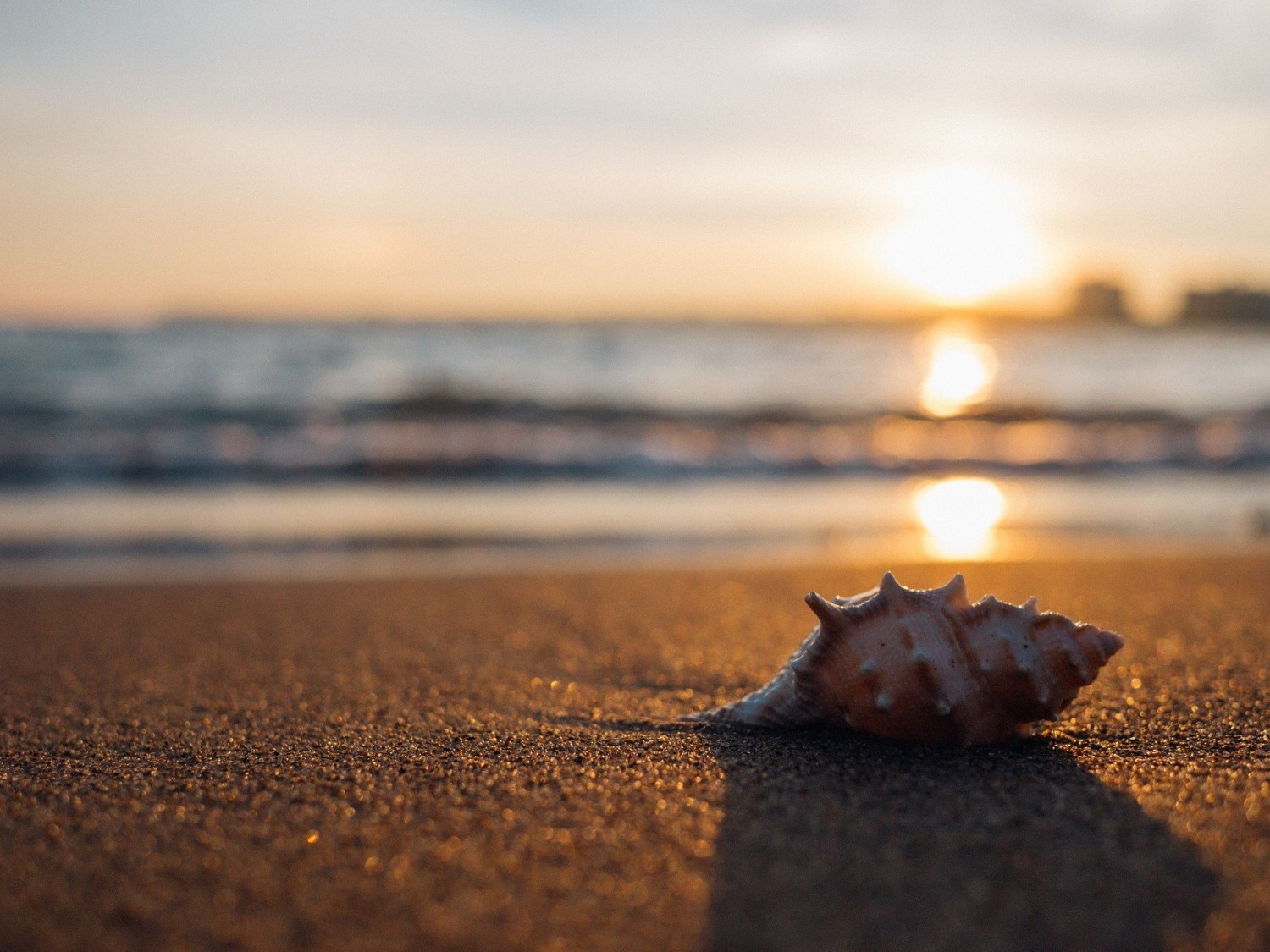 Plaże nudystów: Dźwirzyno - blisko Kołobrzegu