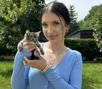 Ten słodziak znalazł dom! Viki Gabor adoptowała kotka ze schroniska w Krakowie