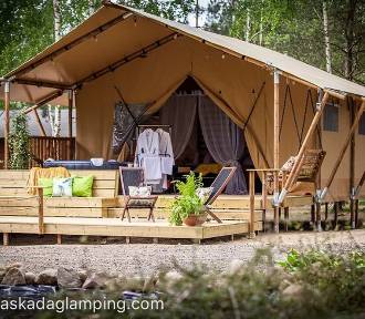 Poznajcie jedyny camping w Łodzi. Mieszka tu najmniejszy na świecie ogier