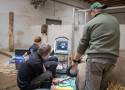 Wyjątkowa sytuacja w śląskim zoo. Hope, samica nosorożca białego urodzona w Chorzowie, wzięła udział w programie in vitro
