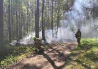 Dwa pożary lasów w powicie bytowskim. Strażacy apelują o rozsądek [ZDJĘCIA]