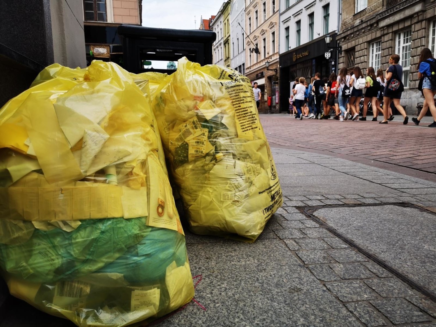 Nawet 30 zł od osoby za wywóz śmieci zapłacą od stycznia torunianie, którzy nie segregują odpadów