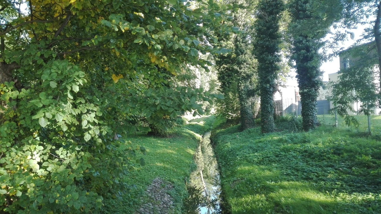 Wolsztyn to nie tylko parowozy, to także piękne jeziora, park, pałac