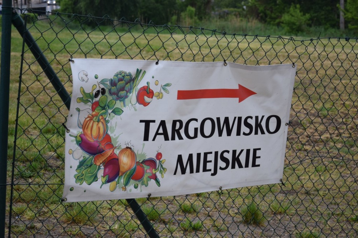 Targowisko Miejskie - 23 maja 2020