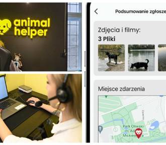 Aplikacja Animal Helper także na Śląsku. To prawdziwe "112 dla zwierząt"