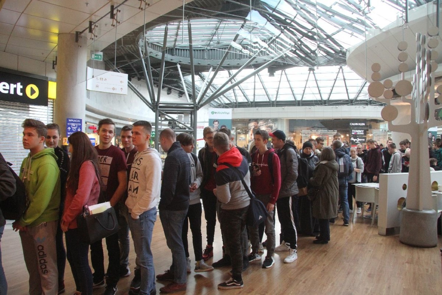 5bfe64c055d7b_o.jpg?1543401027