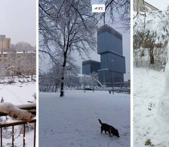 Śnieżny poranek w woj. śląskim - zdjęcia. Czy ten śnieg się utrzyma?