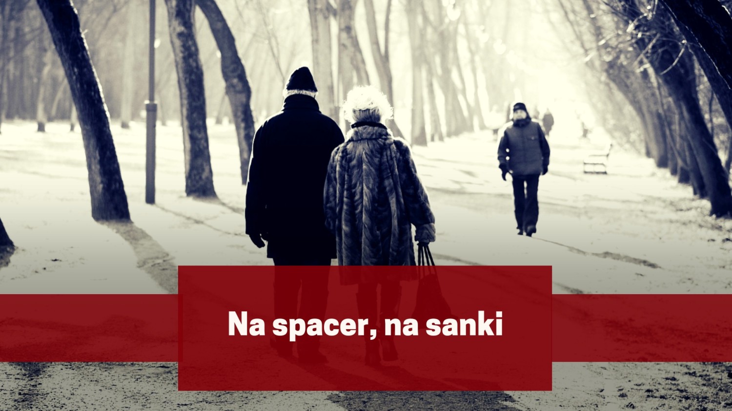 Na spacer, na sanki