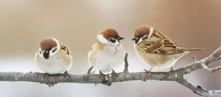 Zdjęcie artykułu z dnia 17-02-2026