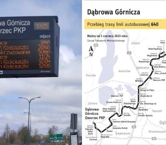 Nowe linie, nowe przystanki, nowe trasy autobusów od 1 czerwca w Dąbrowie Górniczej