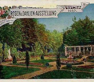 Niemiecka wystawa róż i dalii w Liegnitz. Poznalibyście taki Park Miejski w Legnicy? 