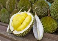 Durian - najbardziej śmierdzący owoc na świecie. Jakie ma właściwości?
