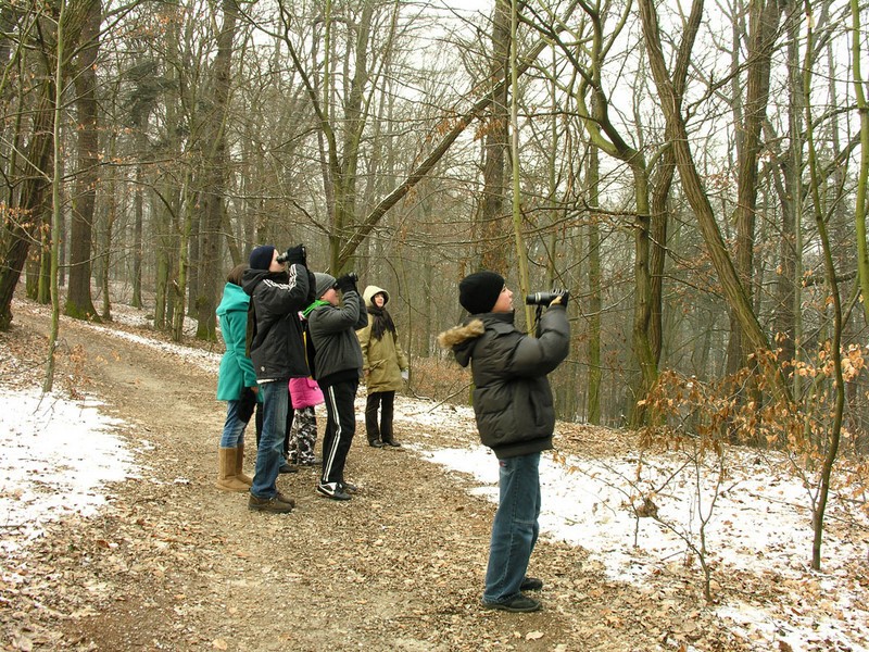 Zimowe Ptakoliczenie 2012 w Jeziorach Wysokich