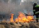 Stop pożarom traw – kampania informacyjna straży pożarnej ZDJĘCIA, FILMY