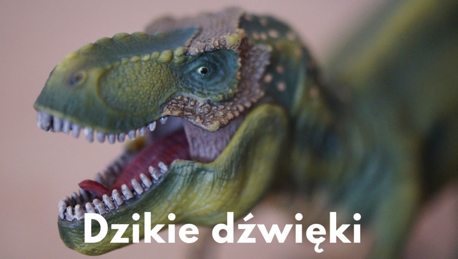 Dzikie dźwięki