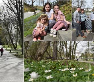 Ciepła Wielkanoc w Tarnowie zachęca mieszkańców do spacerów 