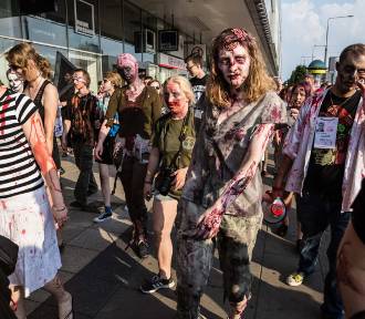 W jakim mieście na Pomorzu przetrwasz apokalipsę zombie? Dane są jednoznaczne