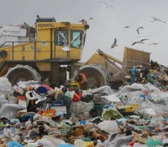 W Żukowie nie będzie podwyżki za śmieci. Brakującą kwotę dopłaci samorząd 