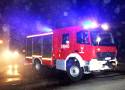 Nocne zderzenie samochodu z dzikim zwierzęciem na DK 75 w Nawojowej. Strażacy w akcji