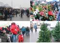 Na Pchlim Targu świąteczny klimat [zdjęcia, ceny, 27 listopada 2022]