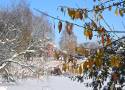 Zima w parku Suble w Tychach. W słoneczny grudniowy dzień widok przepiękny