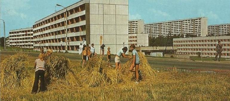 Zdjęcie artykułu z dnia 15-10-2025