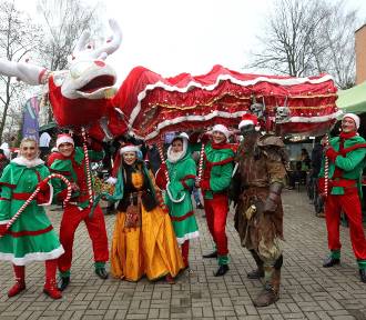 Parada z reniferem Rudolfem rozpoczęła Jarmark Świąteczny w Miłkowicach, zdjęcia