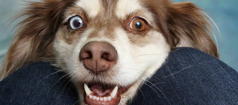 Zdjęcie artykułu z dnia 29-12-2025