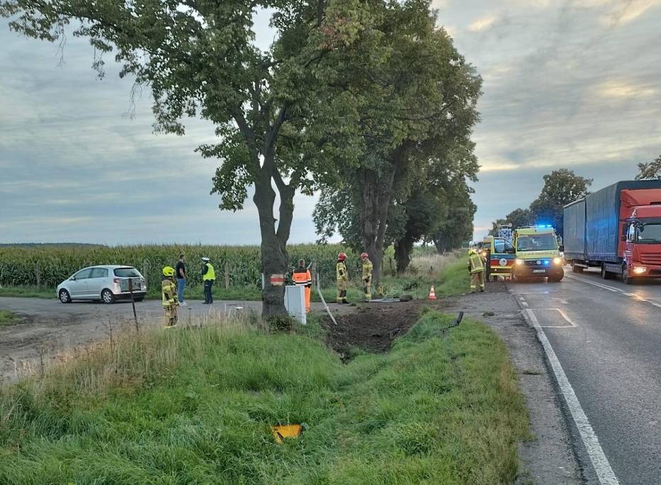 Tragiczny wypadek na DK12 koło Leszna. Nie żyje kierowca