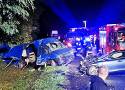 Strażacy z trzech powiatów na miejscu nocnego wypadku Węgrów i Sądeczan na DK 75