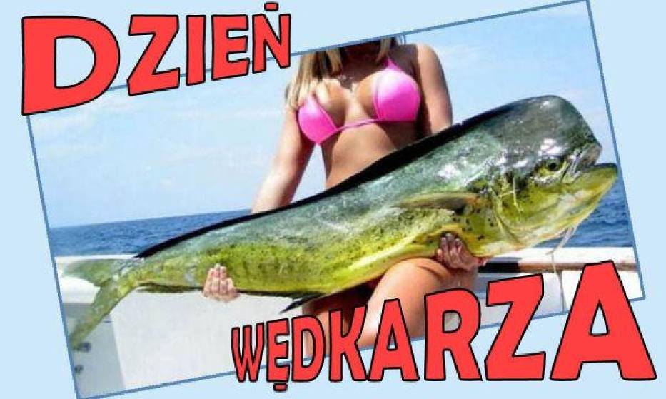 54777640a9e44_o,size,933x0,q,70,h,e959ca