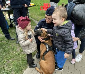 Setki osób uczestniczyło w Radomiu w „Pikniku dla Ustroniaków i ich Psiaków” [FOTO]