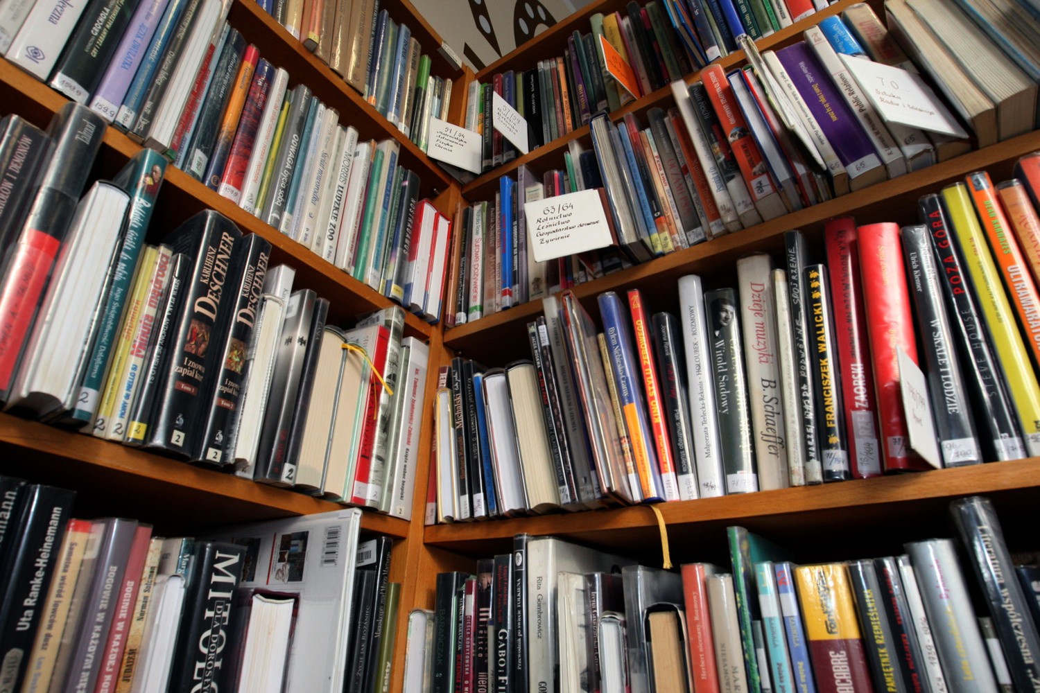 Ferie w bibliotece
