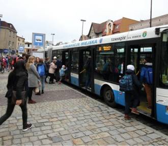 Zmiany w kursowaniu autobusów w Jastrzębiu-Zdroju, Rybniku i w Żorach. Jak pojadą?